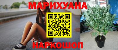 прущая мука Гатчина