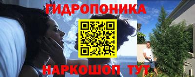прущие грибы Гай