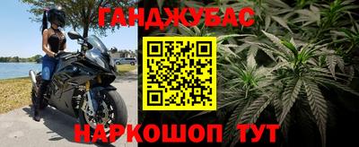 прущие грибы Гай
