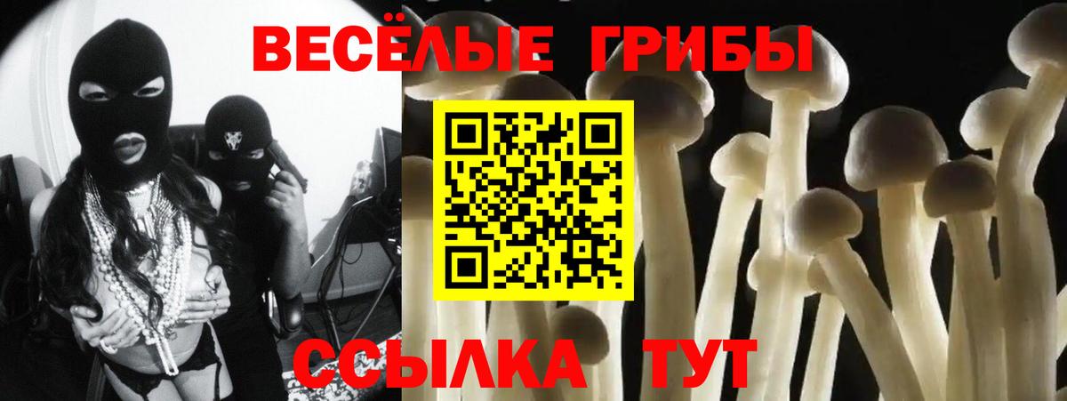 Лениногорск  Псилоцибиновые грибы ЛСД  Вход с VPN 